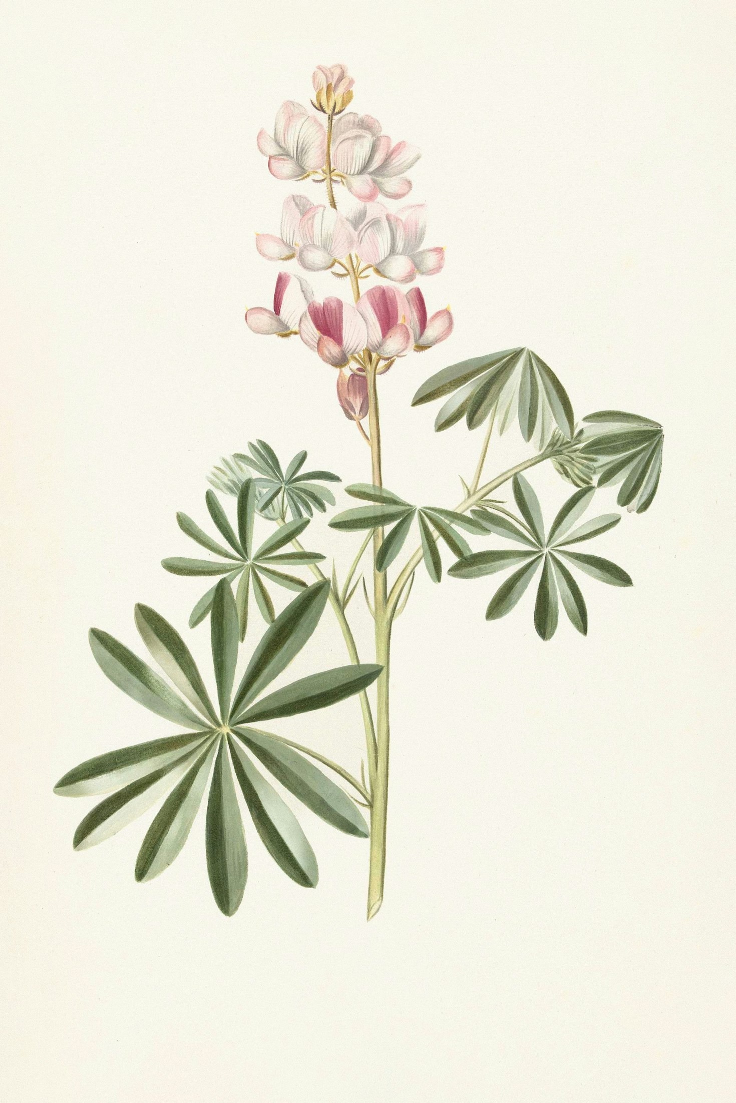 Prof. Erik’ten Doğaya Bilimsel Bir Bakış